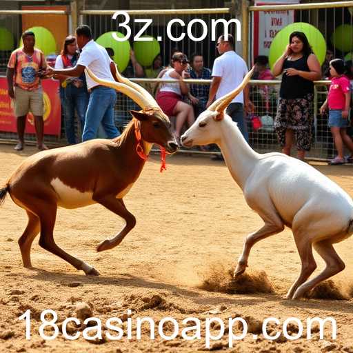 O Fascinante Mundo do Sabong Online